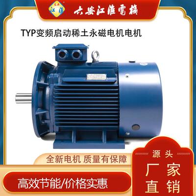 六安江淮稀土永磁同步电机TYP-315L2-8-15 200kW380V节能改造电机