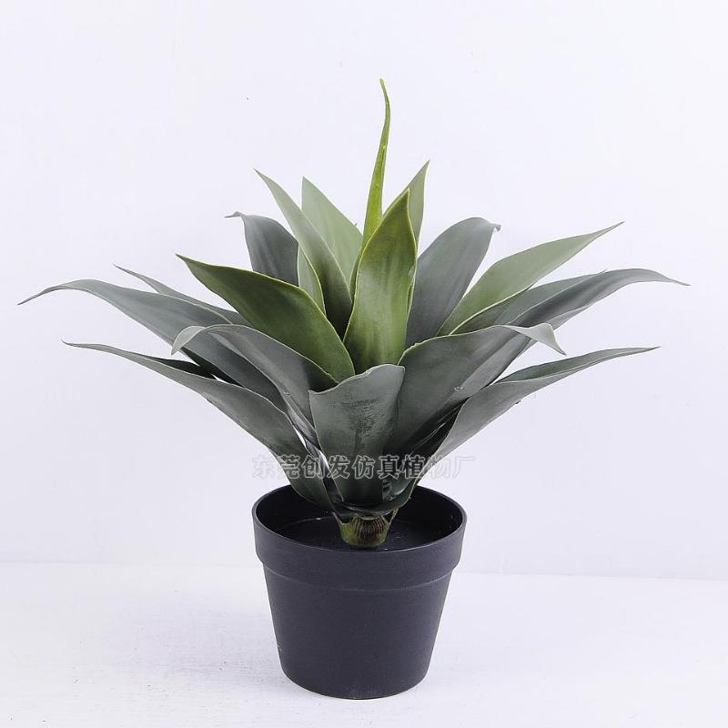 仿真CF0010绿植栽盆龙舌兰黄胶叶剑叶麻绿化工程小盆景剑兰边铁