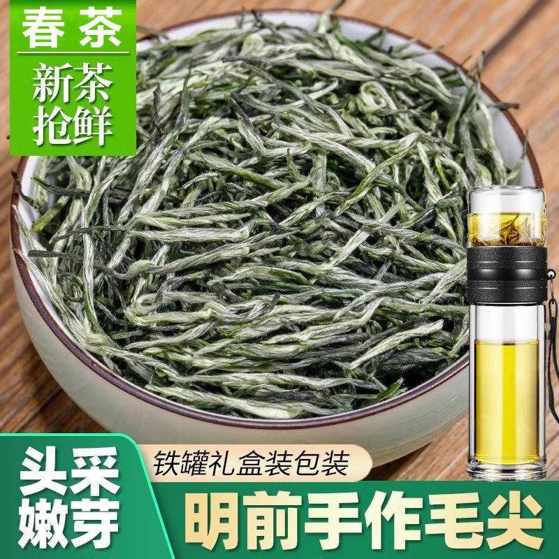 毛尖新茶叶春茶绿茶松针明前云雾浓香型袋装散装250g罐装送礼包邮