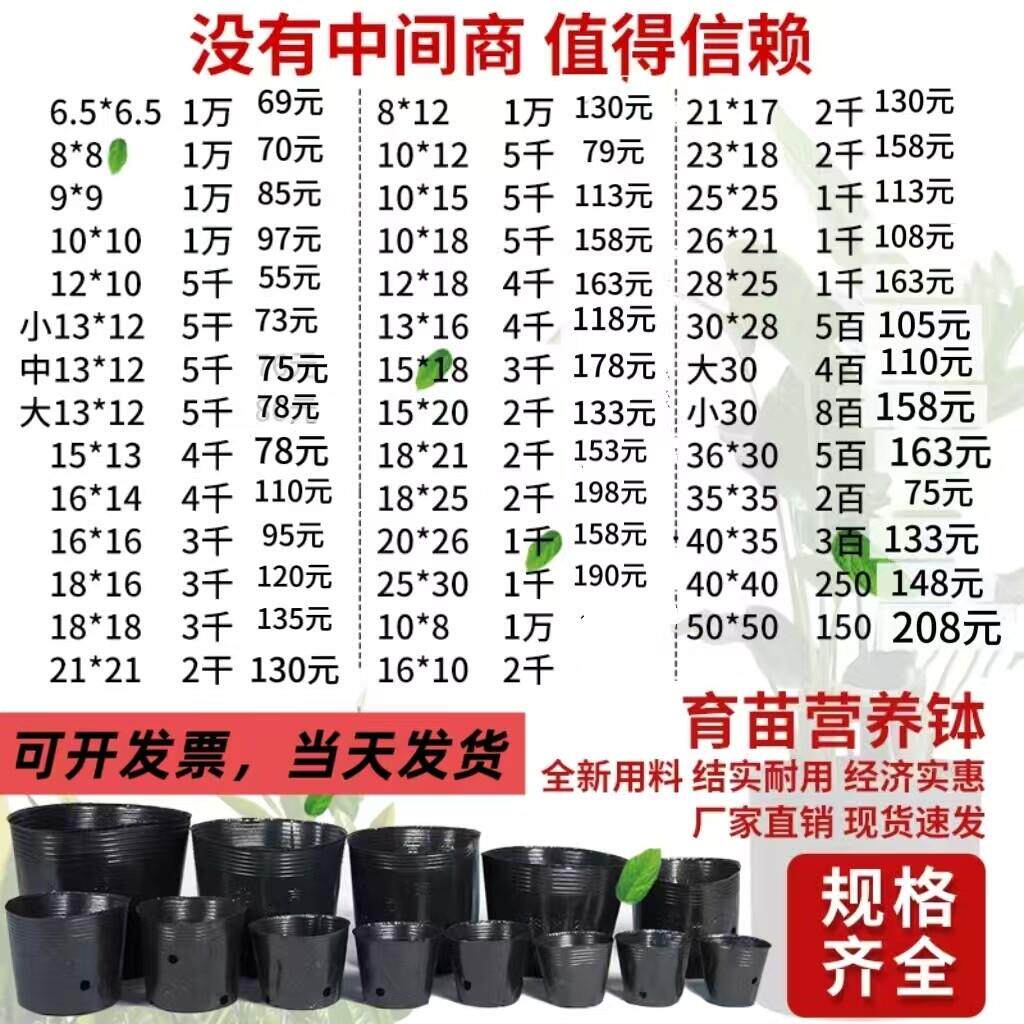 营养钵育苗杯育苗袋营养袋一次性黑色育苗盆苗圃育苗杯种植盆