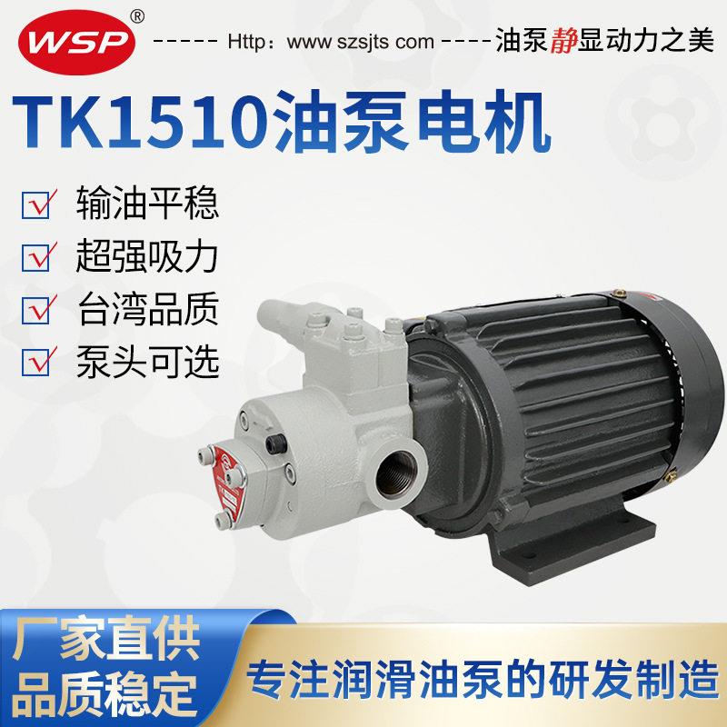 台湾志观TK1508 TK1510油泵浦TK系列润滑油泵 齿轮油泵电机组TK15