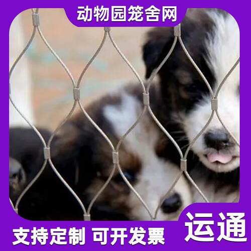 防坠防丝绳网304不钢锈植钢物攀爬绳网YT5986阳台护井口防护绳网
