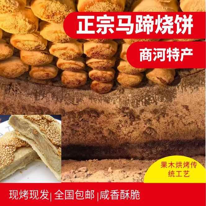 .正宗济南商河特产吊炉马蹄烧饼10个咸香味芝麻饼手工纯无添加面