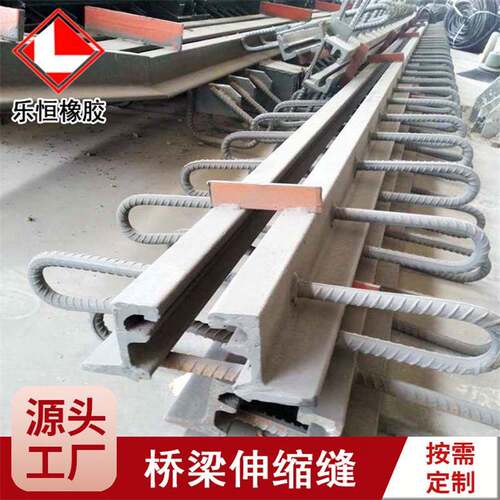公路桥梁伸缩缝 GQF-D/C/E/F/Z/RG型变形缝装置 异型钢桥梁伸缩缝