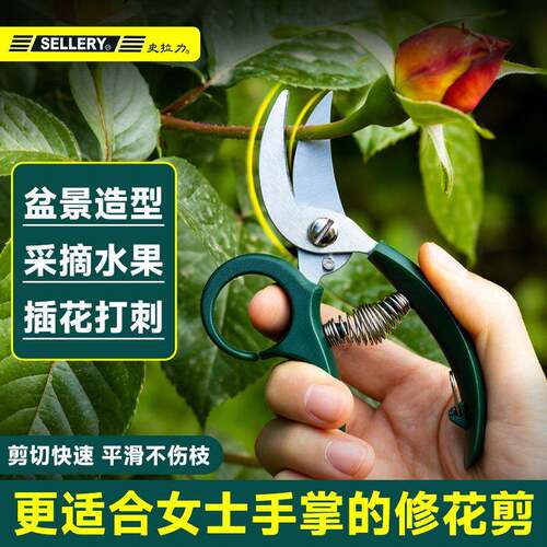 史拉力家用修枝剪修花小剪刀玫瑰月季枝叶修剪园林修枝剪花剪园艺