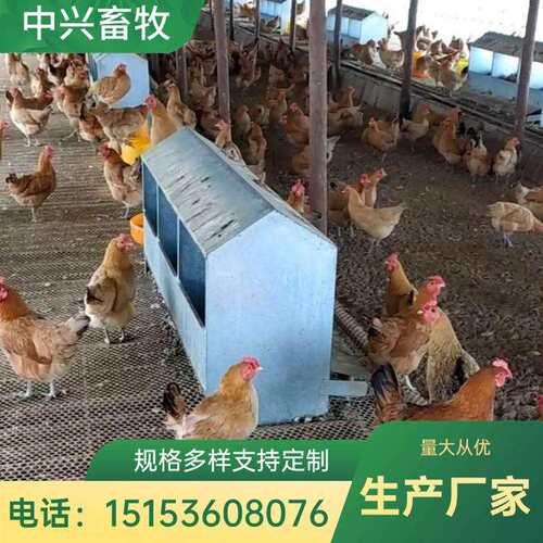 12穴24穴鸡舍产蛋箱 种鸡散养鸡产蛋箱大容量 新款产蛋箱