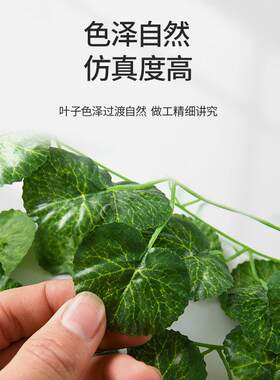 仿真葡萄叶假花树叶子藤条绿植物装饰花藤吊顶水管道塑料藤蔓缠绕