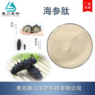 海参肽98%海参蛋白肽粉海参低聚肽海参活性短肽≤500Da