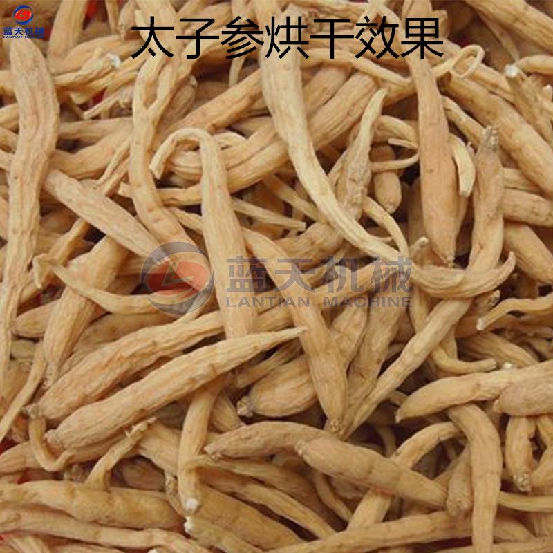干全自动太子参烘干机小型商孩儿参LT-TZS四叶用参烘人参片烘干设