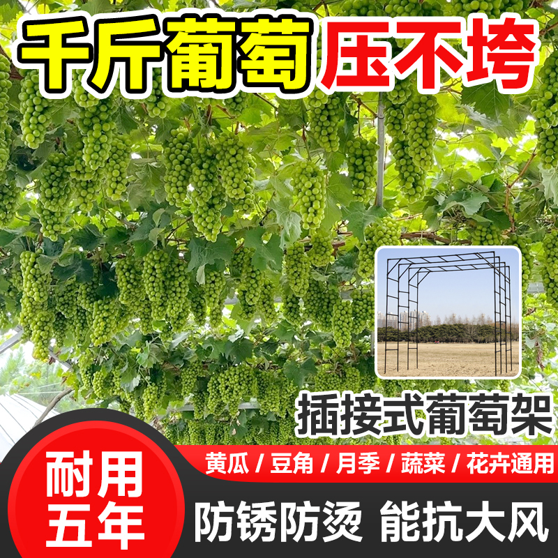葡萄架爬藤架月季蔷薇花架植物花卉支架庭院户外包塑钢管铁艺架子