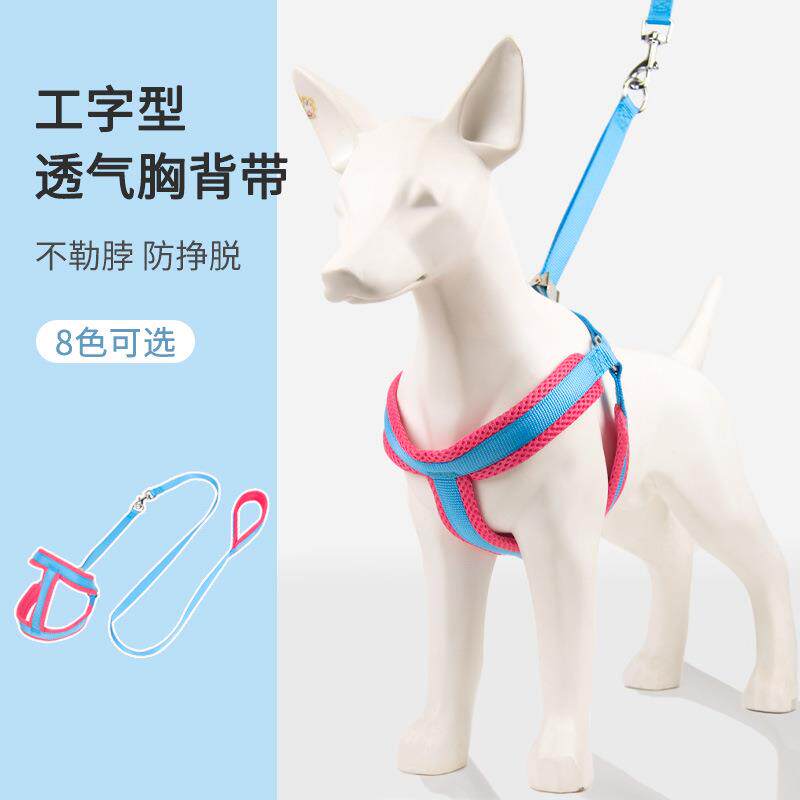 亚马逊狗狗牵引绳中小型犬狗链子狗项圈泰迪金毛遛狗绳子宠物用品