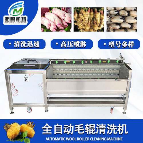 全自动土豆去皮机 土豆生姜清洗去皮设备 不锈钢毛刷毛辊清洗机