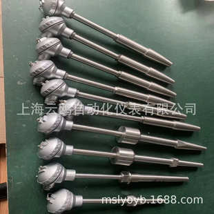 620G WRM 630G电厂电站锅炉用高温高压锥形热电偶 630 WRN