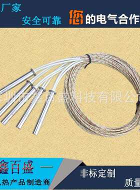 耐高温800度使用252不电热锈0管钢XBS-DTOU工业设备干烧单头加热
