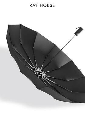 RAY HORSE12骨全自动雨伞折叠黑胶男士商务防风加固晴雨两用雨伞