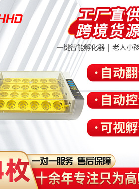 家用FVF你孵化机孵化殖设备 小自型24枚双迷风扇动养孵化器