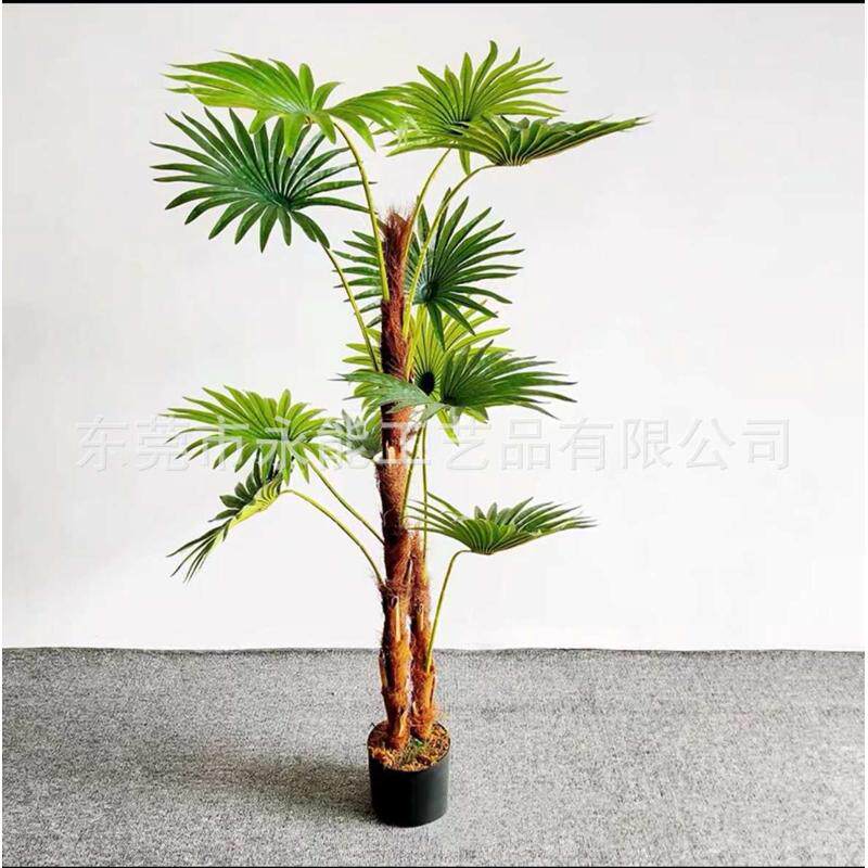 仿真道具厂家绿树人造棕 蒲葵假室内扇形植装扮唐扇树葵葵盆栽树