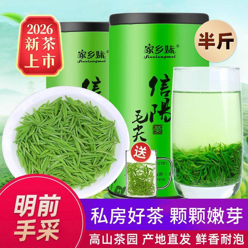 家乡妹信阳毛尖2026新茶叶绿茶明前特级高山嫩芽浓香春茶散装250g
