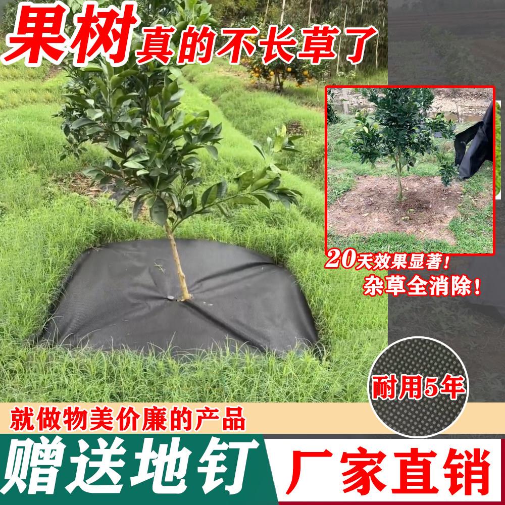 地布防草布除草布农用果园耐用抗老化透水保湿地膜遮草布厂家直销