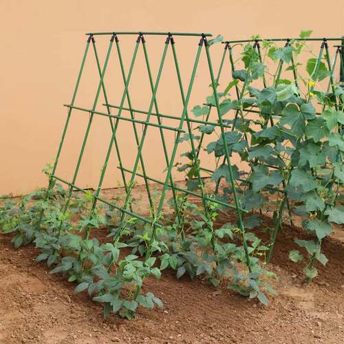 跨境爬藤杆爬藤支架种菜架子黄瓜豆角蔬菜月季花架包塑钢管支撑桩