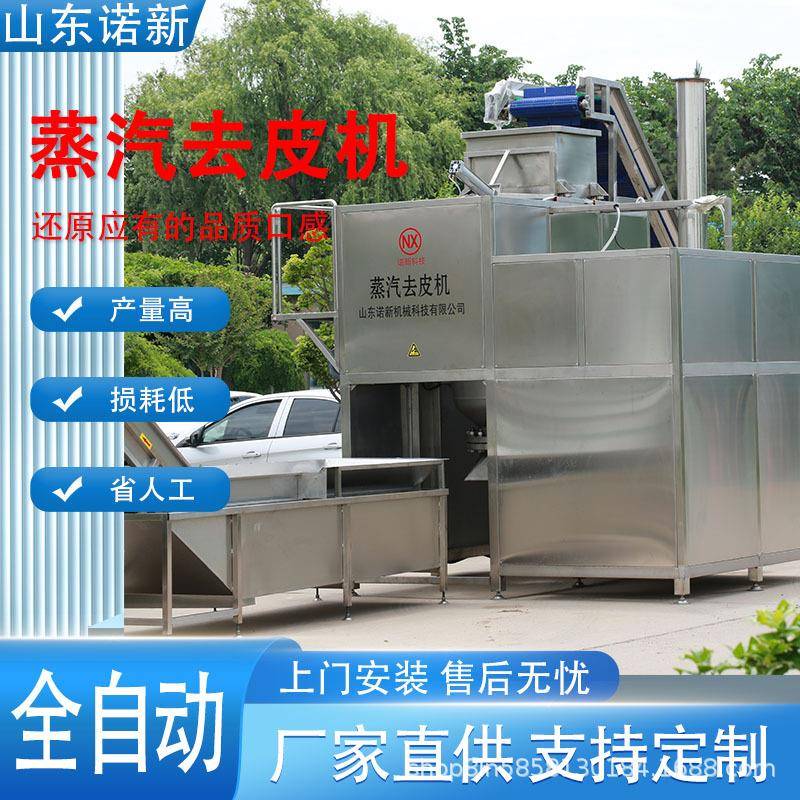 全自动黄桃蒸汽去皮机 果蔬块茎类脱皮设备 葡萄罐头加工去皮设备