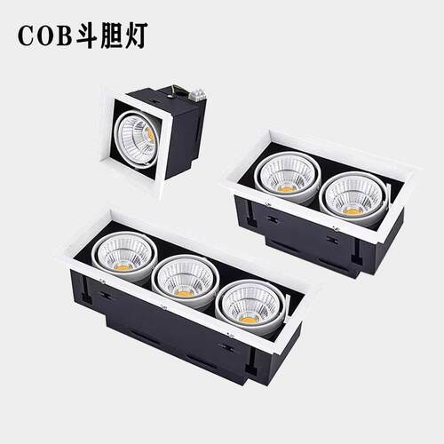 led斗胆灯双头射灯单头三头格栅悬吊式天花板天花孔灯方形嵌入式C