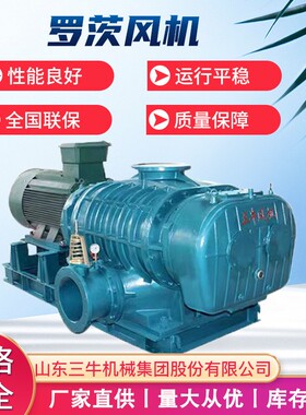 山东三牛NSR罗茨风机三叶罗茨鼓风机洗煤鼓风机反冲洗风机大风量