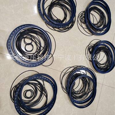 Hagglunds马达CA50CA70100CA140CA21CA210配件密封包骨架油封O型