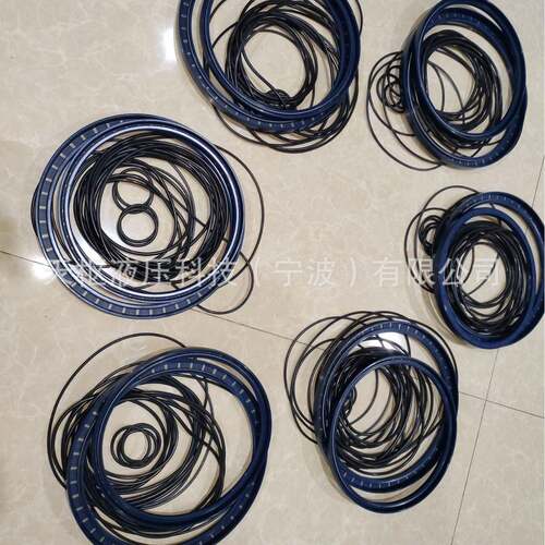 Hagglunds马达CA50CA70100CA140CA21CA210配件密封包骨架油封O型