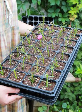 育苗盘穴盘育苗盆种植神器蔬菜玉米秧盘营养钵育种器托盘扦插