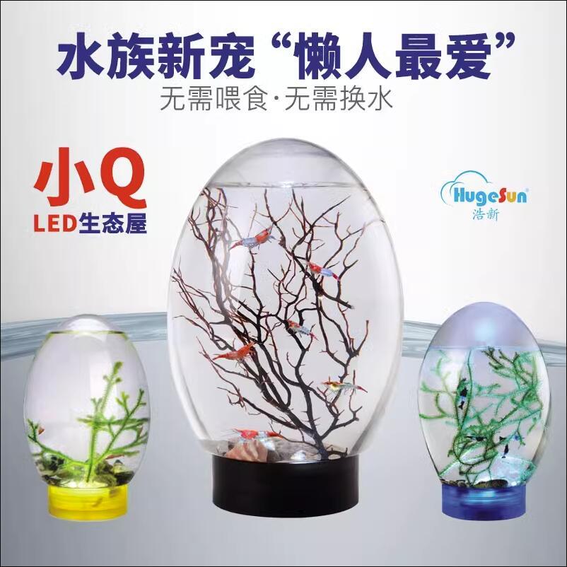 桌面小鱼缸亚克力迷你虾缸客厅卧室办公室mini生态缸LED小夜灯