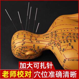 针灸穴位人形人体模型可扎针经络全身小铜人大图练习模特仿真人