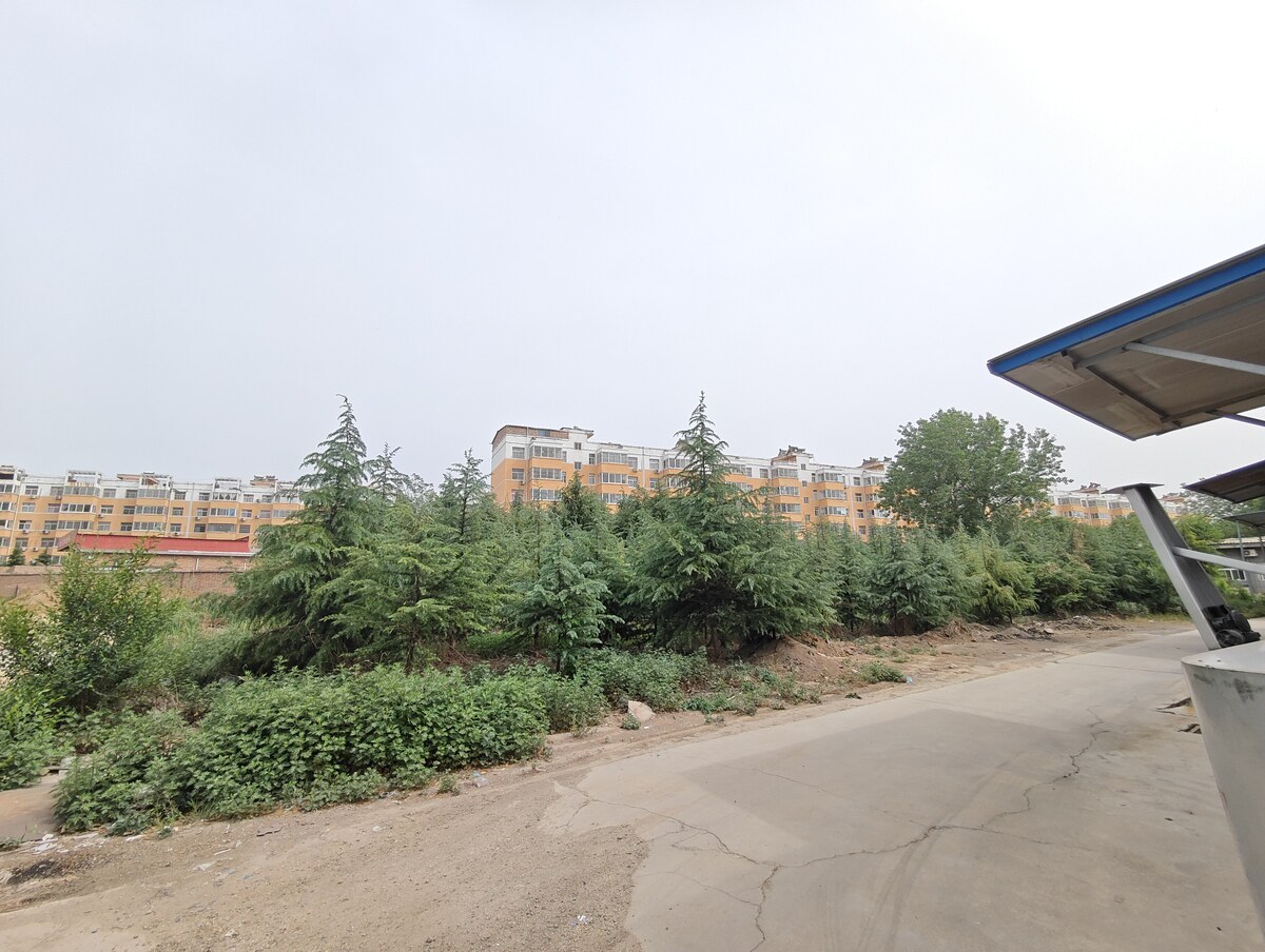 5月30日三门峡市产业公司（绿化）土地使用权及绿化网络拍卖公告