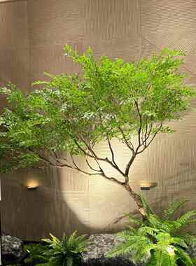 仿真绿枫树jyj88898鸡爪槭绿枯山水室内茶观盆景假树摆件室植景造