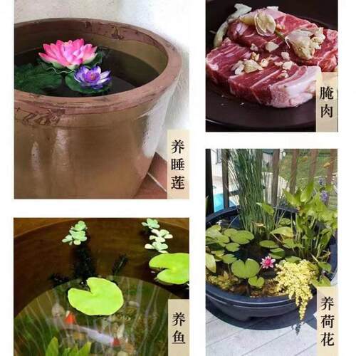 大水室缸家用储水老式养鱼XWP院花造景盆外陶瓷酱庭缸发酵腌菜莲