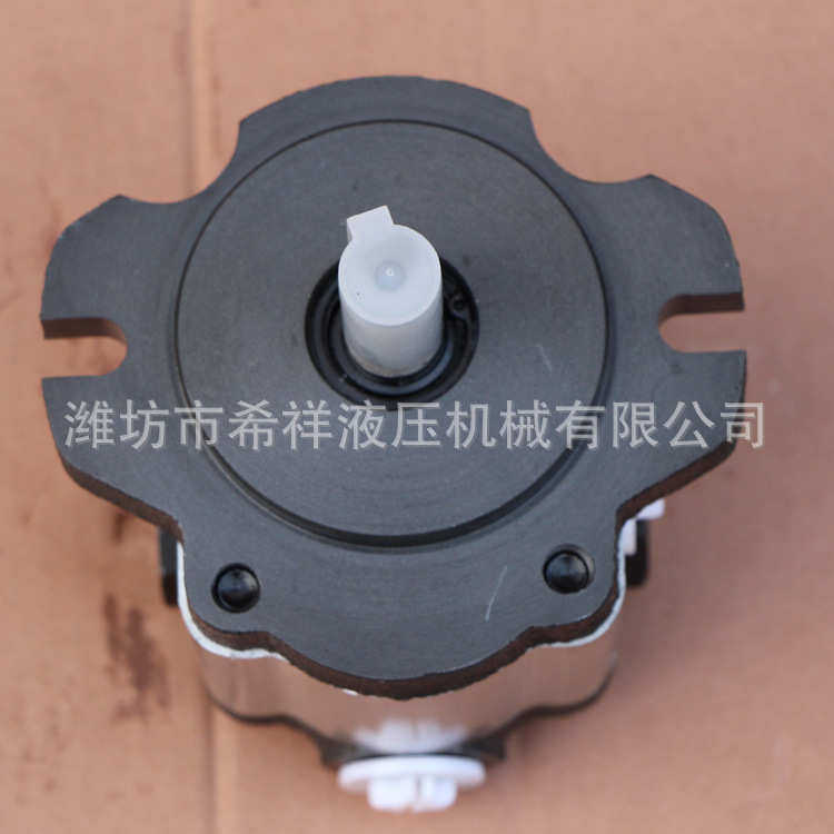 转向13助力泵 各种大型机械专用齿轮泵 厂家批发液压齿轮泵