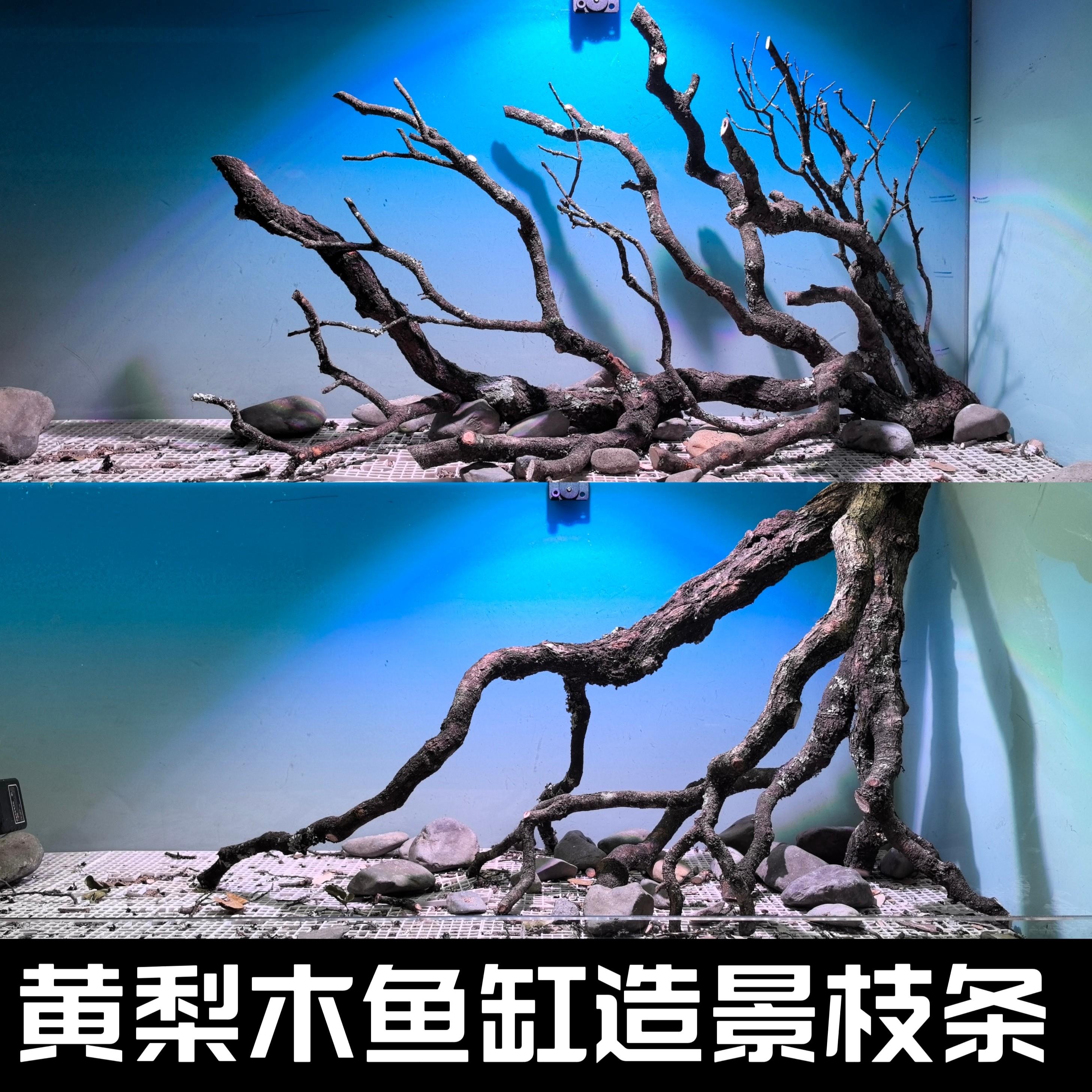 黄梨木枝条南美缸造景沉木黄栎木原生缸枝条黄梨枝鱼缸造景