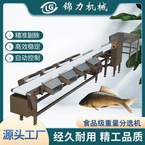 皮带式重量分选机带鱼重量分拣扇贝等级规格分选多级分选