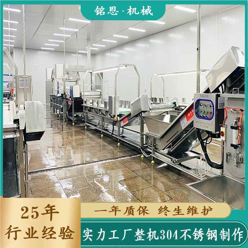 山楂水清洗线 山楂罐加工流线 头果蔬清洗网机带MNSQ式气泡清洗机