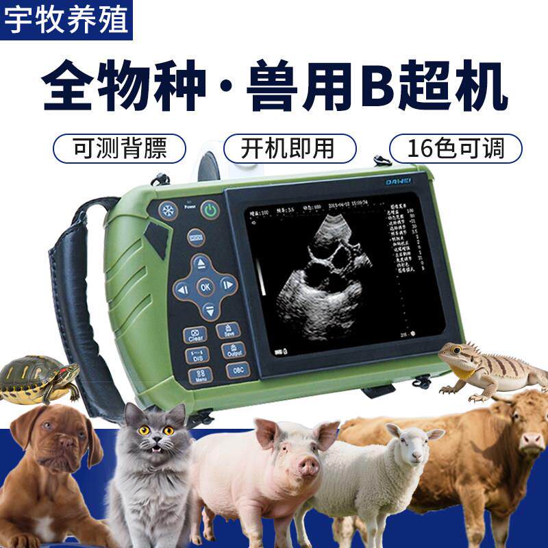 兽用b超机母猪牛羊马猫狗蛇龟异宠通用高清测孕仪超声波便携b超机