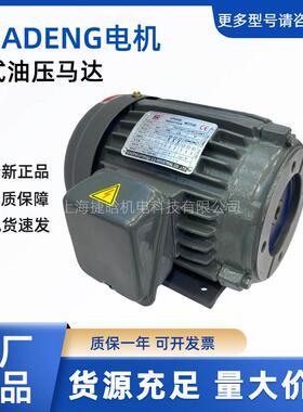 液压油泵电机CO1-43BO 3-PHASE INDUCTION MOTOR 内轴马达