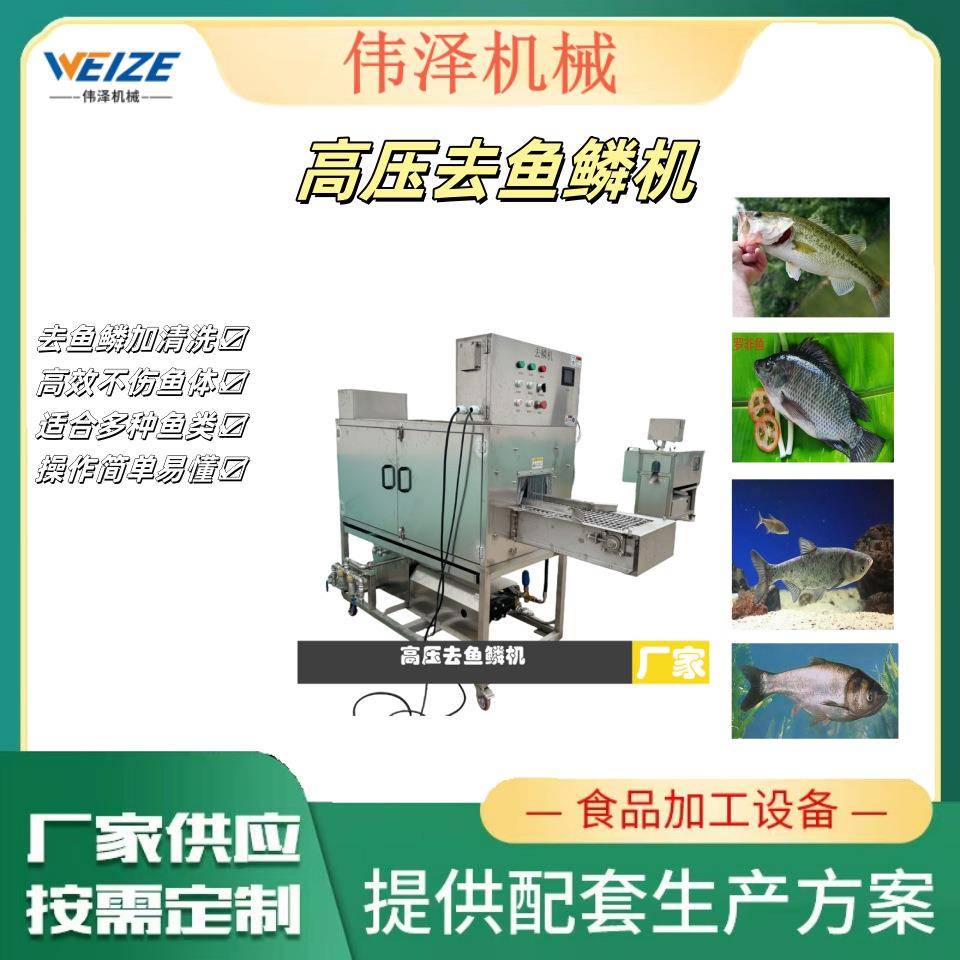 草鱼高压去鱼鳞机器 快速去除鱼鳞的设备 鱼类加工机械