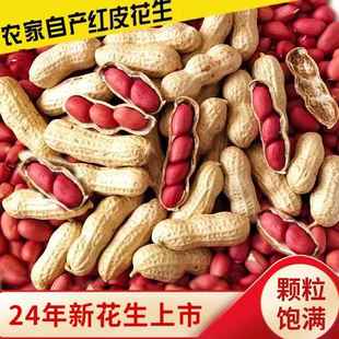 2025年新鲜现挖晒干四粒红带壳生花生红皮花生米原味炒熟农家自产