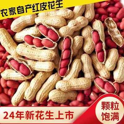 2024年新鲜现挖晒干四