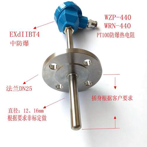 防爆热电阻 法兰热电阻WZP-440/PT100/WZP-240传感器DN25法兰