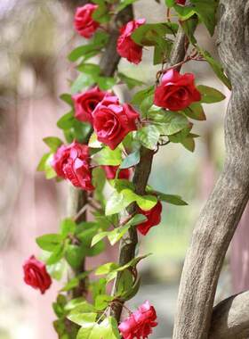 2m Artificial Flowers Rose Ivy Vine Wedding Decoration Real