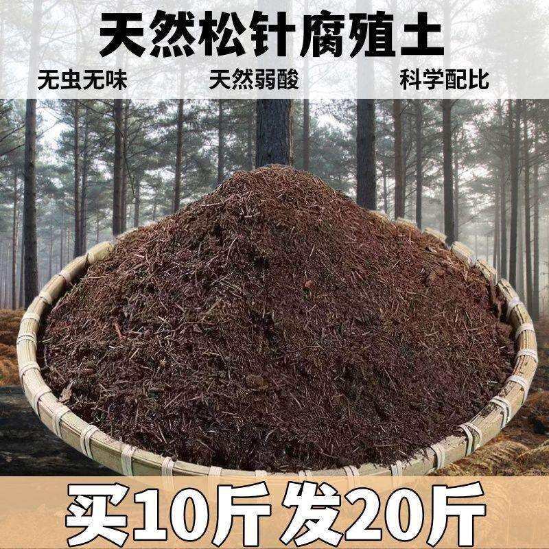 松针腐殖土酸性有机土通用透气兰花君子兰茶花阳台专用土厂家直销
