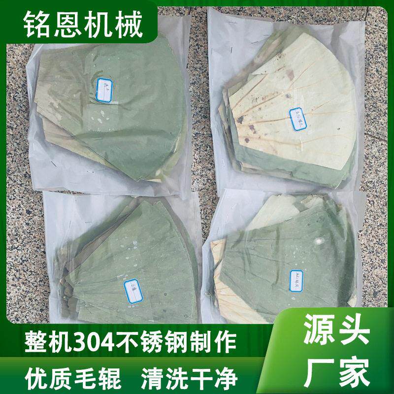 自动洗粽叶机加长型四角粽粽叶清洗机铭恩4米洗芦苇叶设备