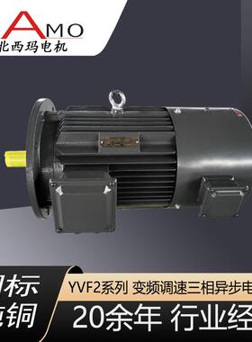 河北西玛电机定制生产YVFE2-2极3-355kw变频调速三相异步电动机