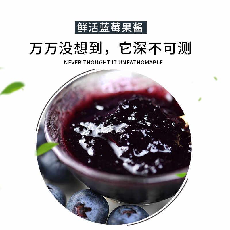 博多家园粒珍多柚子桑葚草莓蓝莓百香果果肉果酱1.2KG奶茶店专用